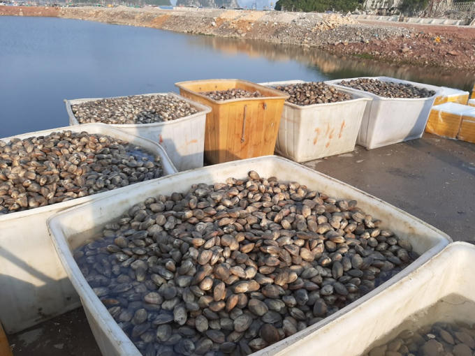 152716880_158932926041054_1326447473368786000_n