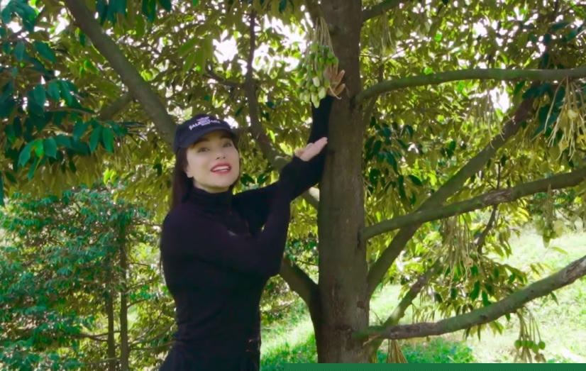 chan dai co vong ba hon 1m chi 15 ty mua 2 manh dat lam nong trai la ai? hinh anh 3