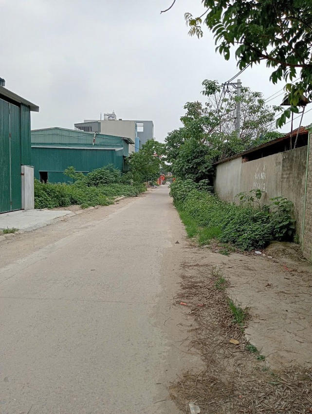 Không chỉ nhà xây kiên cố mà hàng loạt nhà xưởng bằng khung thép lợp tôn được mọc lên.