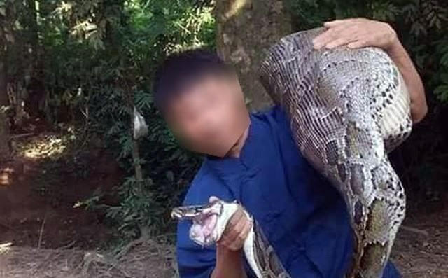 Cận cảnh con trăn mà người dân bắt được.