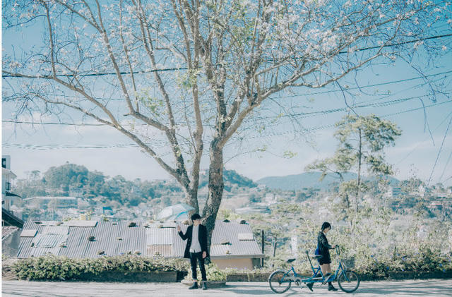 Ngỡ ng&agrave;ng bộ ảnh tại Đ&agrave; Lạt l&atilde;ng mạn tựa phim H&agrave;n