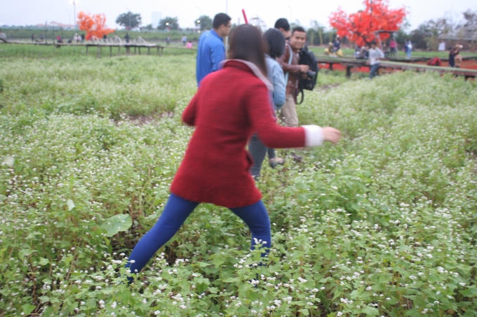 Thản nhiên đi lại