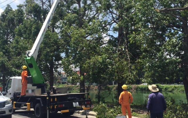 Điện lực Thừa Thiên Huế sẵn sàng ứng phó với thiên tai trong bối cảnh dịch bệnh phức tạp