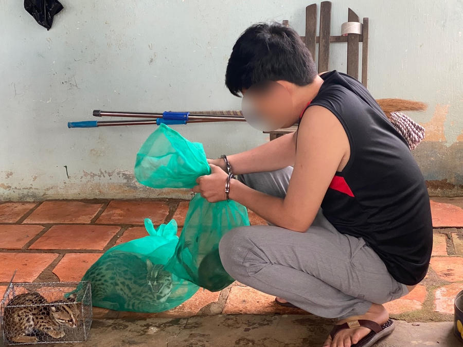 Nhiều cá thể động vật được lực lượng chức năng phát hiện.