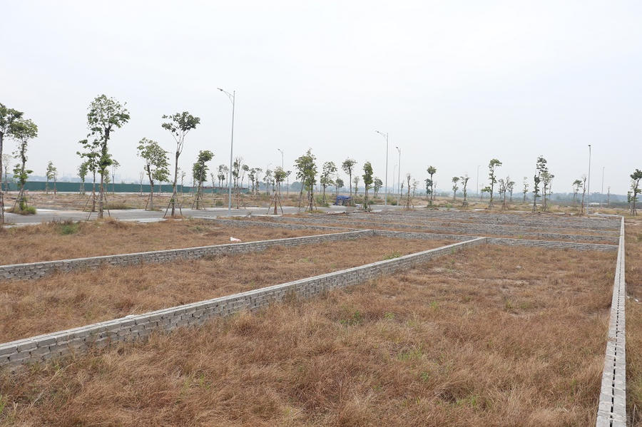 phan-lo-tach-thua-khong-dua-vao-su-dung-se-tao-he-luy-cho-thi-truong-anh-doan-thanh.