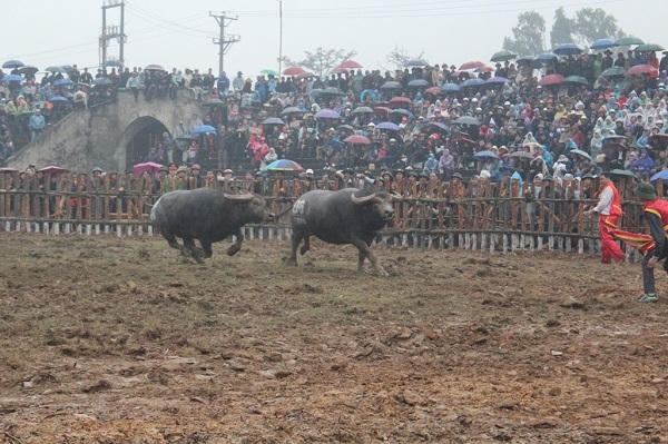 Một trong hai bên không chịu được những đòn đánh của nhau nên đã bỏ chạy.