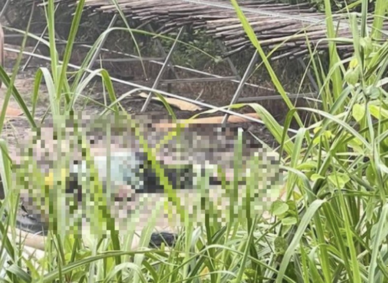 Hiện trường vụ việc.