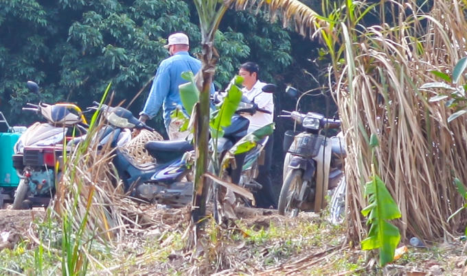 Ekip làm việc trong sự lặng lẽ vốn có.