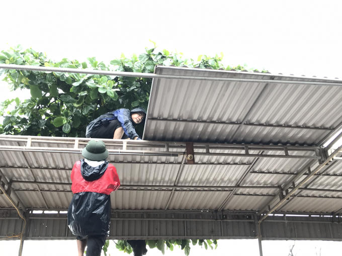 Người dân chủ động tháo dỡ mái tôn tránh bị gió giật trước giờ bão số 3 đổ bộ.