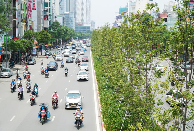 Trái ngược với hàng phong rệu rã trên đường Thanh Niên thì hàng phong trên đường Trần Duy Hưng lại xanh non mơn mởn dưới cái nóng cháy da của mùa hè.