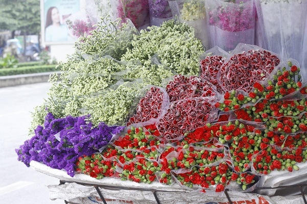 Các loại hoa khác cũng đua nhau khoe sắc trong những ngày này.