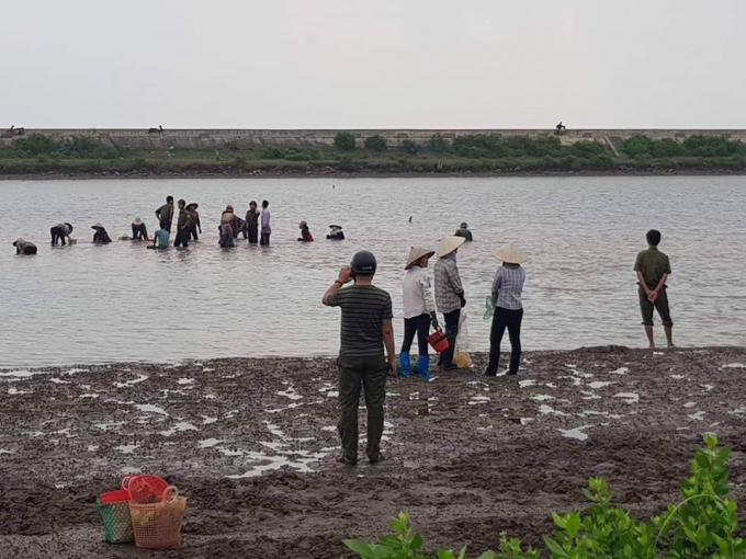 Hàng trăm người đang "hôi của" tại xã Nam Điền.