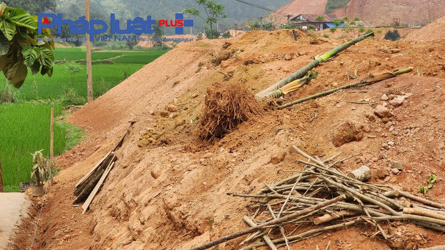 z4217166736500_3ac705933c1301c40e00afd9a2d089a7