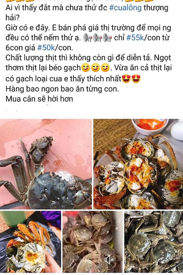 Không khó để bắt gặp những bài rao bán cua lông Thượng Hải với giá “siêu rẻ” trên chợ mạng những ngày này.