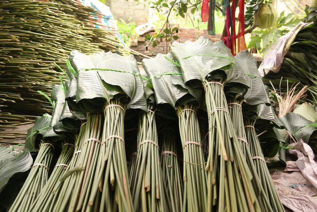 Với những đặc điểm như làm cho bánh chưng sau khi luộc lên có một màu xanh bắt mắt, mùi thơm đặc trưng khác hẳn với lá dong trồng trên rừng.