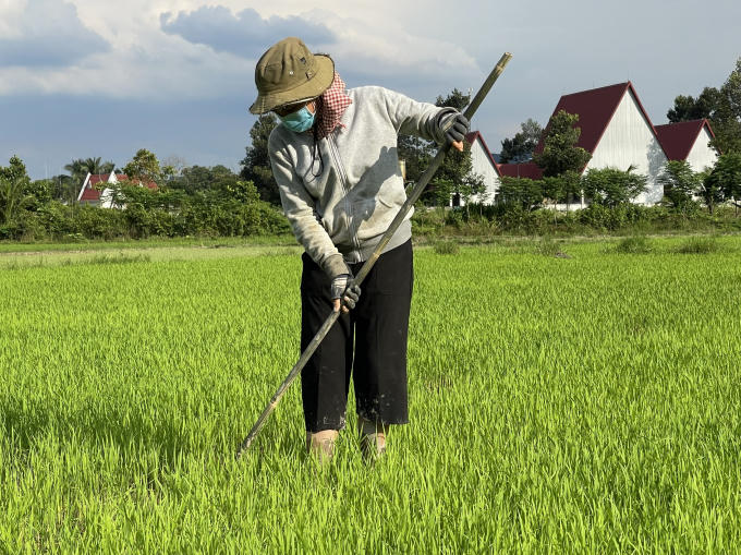 Trạng thái bình thường mới nhanh chóng được thiết lập, đồng bào các dân tộc Tà Lài bắt tay xây dựng cuộc sống ấm no, hạnh phúc sau những vết thương mà dịch bệnh để lại.