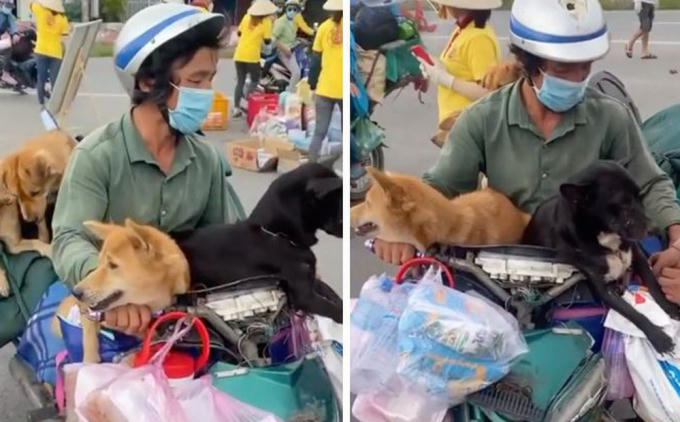 photo1633798272974-16337982732281638516573