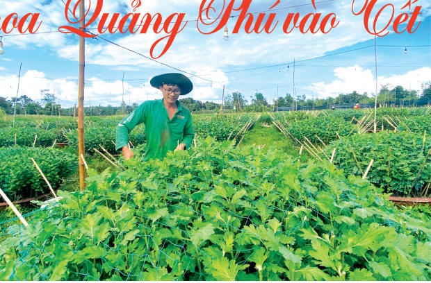 Anh Nguyễn MinhTuấn đang thực hiện kỹ thuật cắm tăm tạo hình chậu cúc.