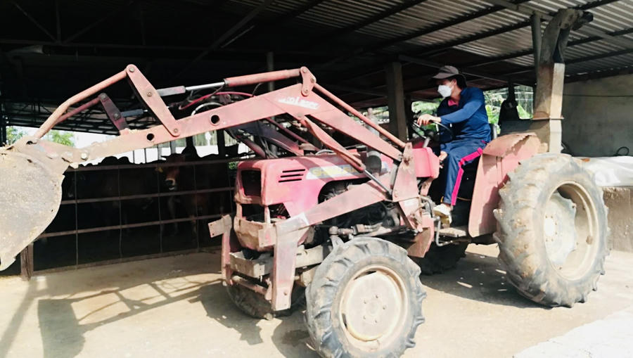 Cơ giới hóa cùng các trang thiết bị tiên tiến hiện đại được sử dụng nhiều trong các trang trại bò tập trung.