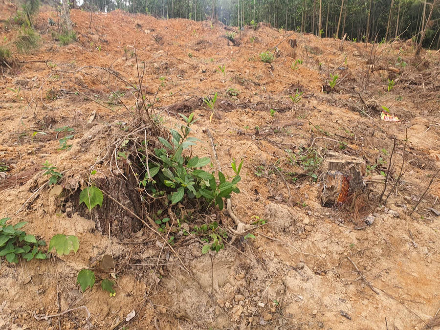 331314221_2421034641407256_7988516010279839519_n