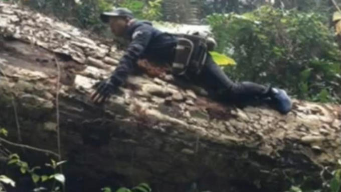 Điểm báo ngày 13/3/2017: