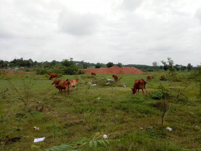 Bình Dương: Xót xa những dự án