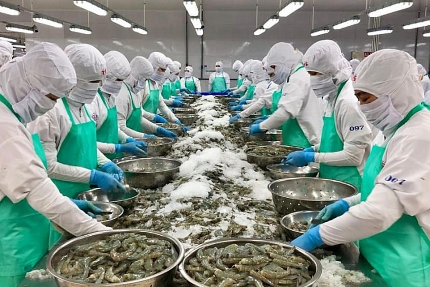 VASEP bất ngờ khi Hoa Kỳ áp mức thuế lên giá tôm Việt Nam tới 35%.