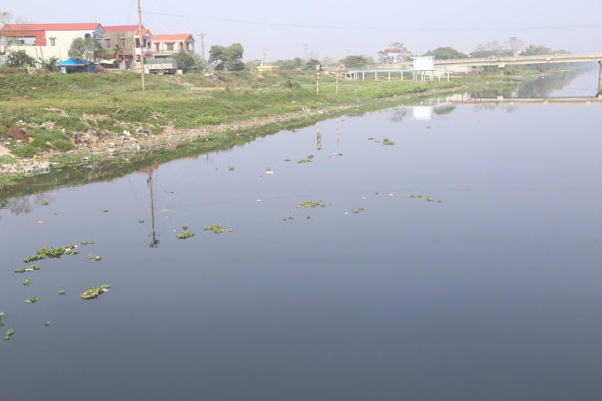 Dù nước sông Nhuệ bị ô nhiễm nhưng vẫn phải sử dụng để gieo trồng kịp thời vụ.