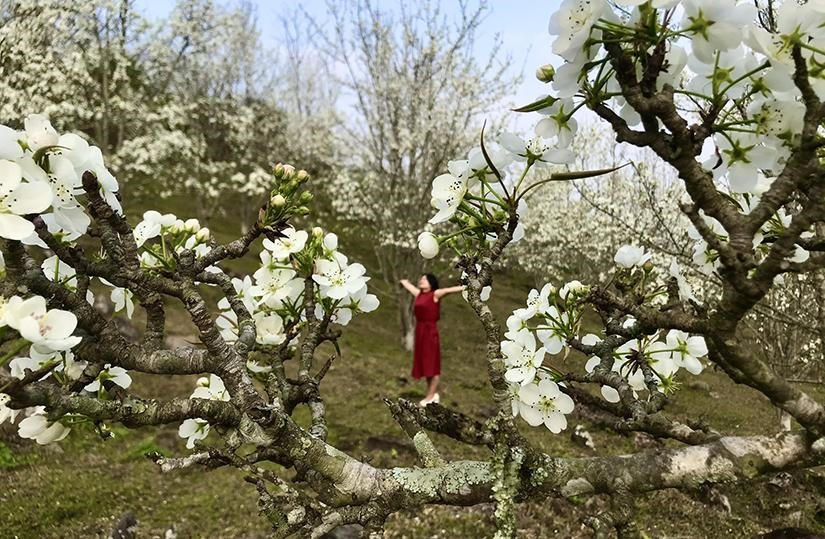 9860-1646120932-Hoa-