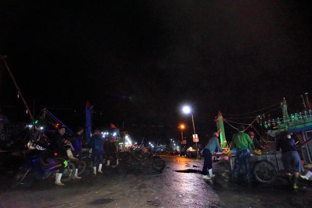 Không chỉ có các tàu cá tại cảng cá Thọ Quang này còn có hàng trăm lao động làm nhiều công việc khác nhau. Họ bám cảng mưu sinh bằng đủ loại công việc: bốc vác cá, ướp đá, vận chuyển, mốt cá…Nhiều người có thâm niên hàng chục năm làm việc ở cảng cá này để nuôi gia đình.