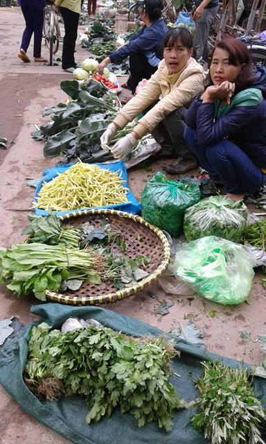 Cải cúc trong tết 2 nghìn đồng/mớ, sau tết 3 nghìn đồng/mớ.