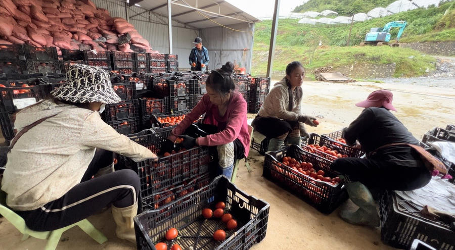 z4696655285446_00c219e311e5825a26a6c57cd232ef21