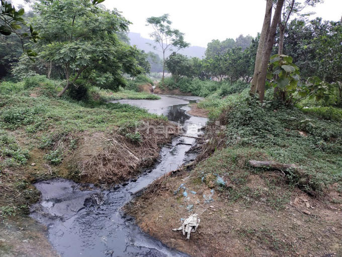 e1441efd-6d05-4764-8f25-7be97028e2d7