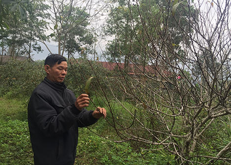 Ông Phàn Văn Hồn ao uớc có điện để cập nhật kỹ thuật mới vào sản xuất nông nghiệp.