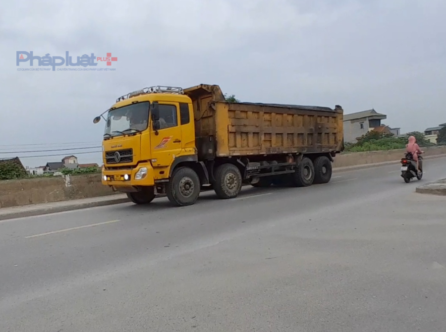 và vận chuyển đi đến khu vực khác qua tuyến đê này.