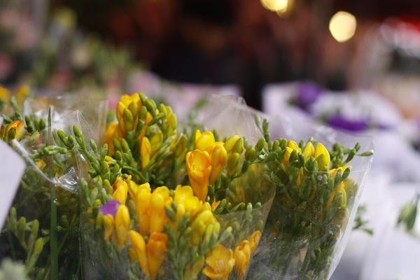 Hà Nội: Rực rỡ sắc hoa chào mừng ngày 8/3