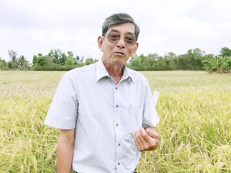Kỹ sư Hồ Quang Cua, người làm rạng danh hạt gạo Việt. 