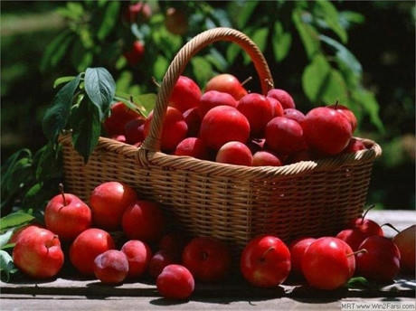 Quả táo: Trong hạt của quá táo có nhiều cyanide, chất làm ngăn cản quá trình hấp thụ oxy của các tế bào trong cơ thể, từ đó dễ gây ngạt, đặc biệt là vùng não bộ.