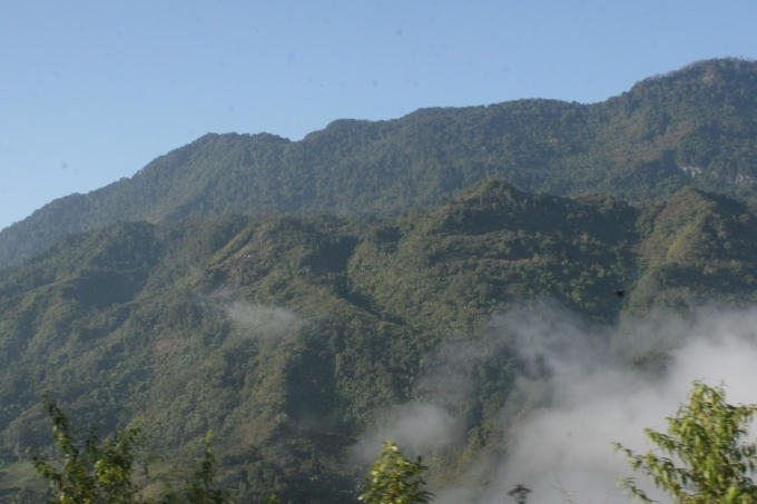 Trên con đường giữa rừng cây, xa xa là đồi núi được phủ kín bởi mây mờ, du khách sẽ có những giây phút dịu ngọt, nhẹ nhàng với hàng ngàn bông hoa dại nở khắp nơi, an nhiên rung rinh trước gió như vầng mặt trời tí hon xua tan đi cái lạnh nơi đây.