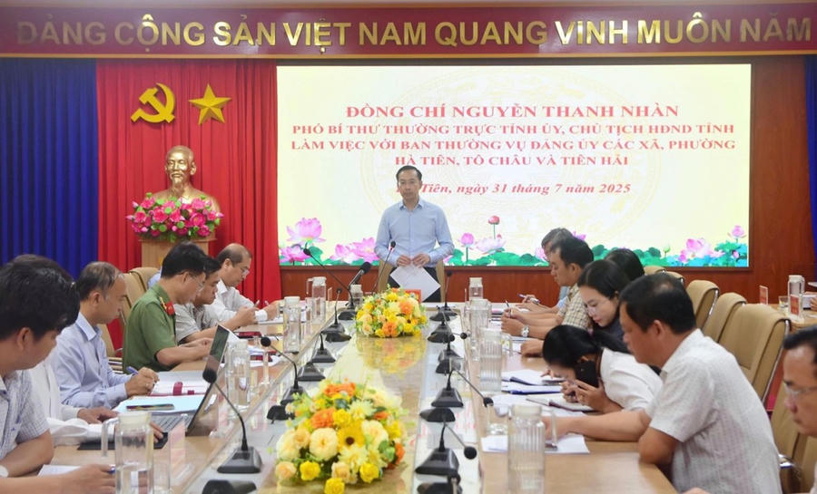 Phó Bí thư thường trực Tỉnh ủy, Chủ tịch HĐND tỉnh An Giang Nguyễn Thanh Nhàn phát biểu chỉ đạo tại buổi làm việc.