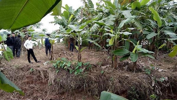 Khu vực ven sông Hóa, nơi phát hiện 3 thi thể trôi dạt trên sông.