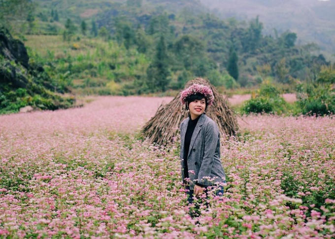 Nếu bạn muốn ngắm hoa vào lúc nó đỏ hồng rực rỡ và bung nở đẹp nhất thì hãy chọn du lịch Hà Giang tháng 11 để bắt trọn những khoảnh khắc lung linh nhất của loài hoa mỏng manh này nhé!