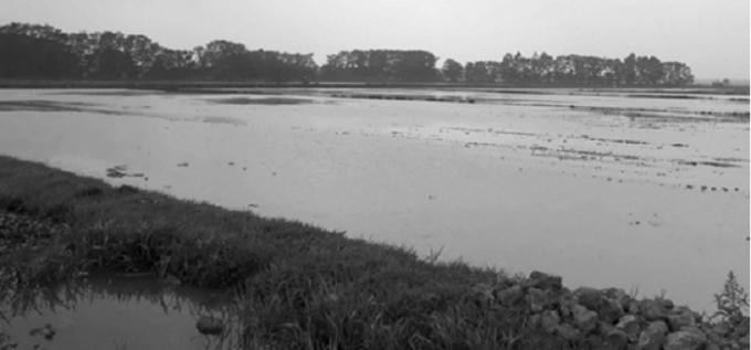 Thanh Oai, H&agrave; Nội: Người d&acirc;n y&ecirc;u cầu l&agrave;m r&otilde; nguồn gốc đất khi thu hồi