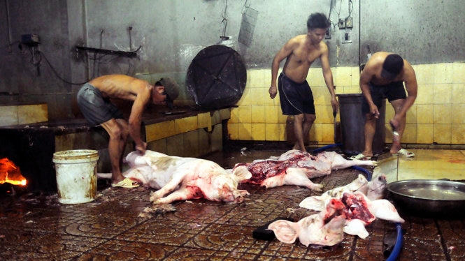 Ba người đàn ông giết heo dưới sàn nhà dơ bẩn - Ảnh: A Lộc