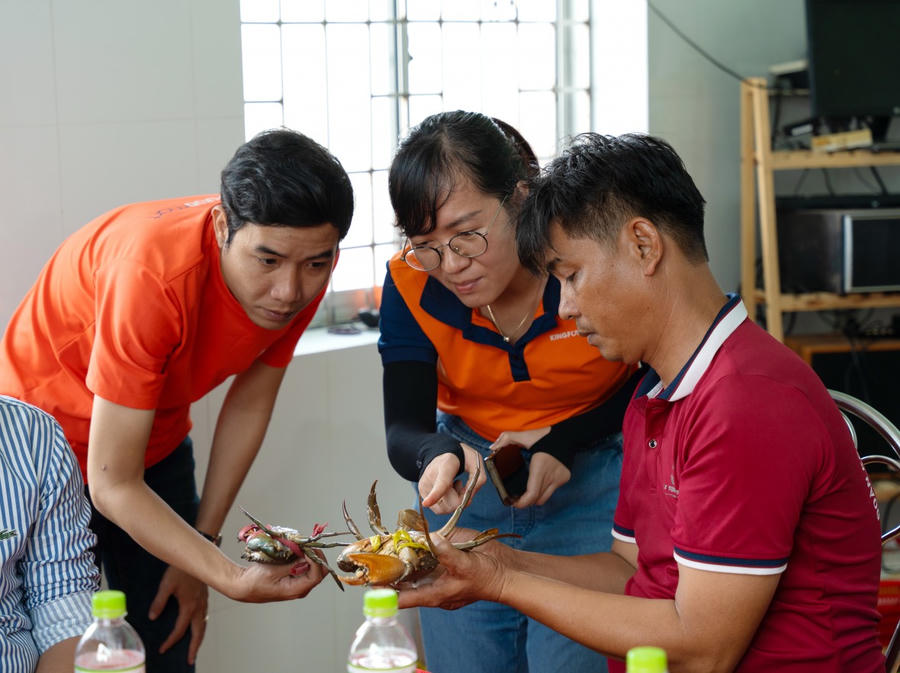 HTX Tài Thịnh Phát Farm, xã Tam Giang (huyện Năm Căn) là một trong những HTX chuyên sản xuất, cung ứng mặt hàng cua có tiếng của huyện.