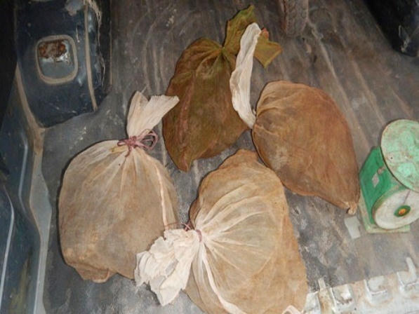 Các cá thể cầy vòi được nhốt trong bao cước nhựa và cất giấu sau thùng xe.