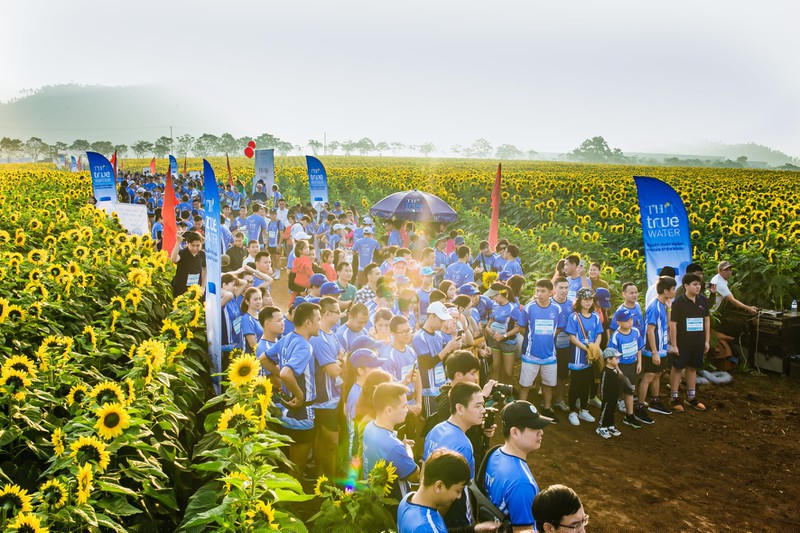 Giải chạy Run to the sun 