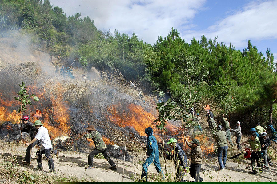 Ảnh minh hoạ. (Nguồn: Báo Thái Nguyên)