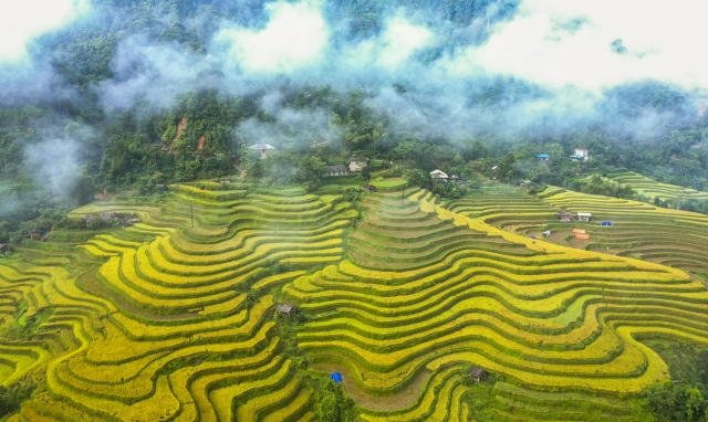Du lịch Hà Giang phát triển nhờ phát huy vẻ đẹp của ruộng bậc thang