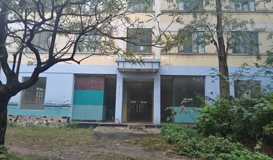 Công ty TNHH MTV Quản lý và phát triển nhà Hà Nội cũng không có biện pháp thu hồi lại diện tích đã cho thuê, vẫn để bên thuê sử dụng (không có hợp đồng thuê), dẫn đến việc nợ phát sinh ngoài hợp đồng thuê số tiền tạm tính là hơn 8,2 tỷ đồng, làm thất thu ngân sách Nhà nước, không có khả năng thu hồi.